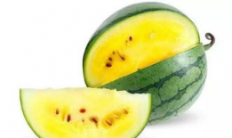 吃瓜图文爆料怎么做好看,如何打造吸睛视觉盛宴